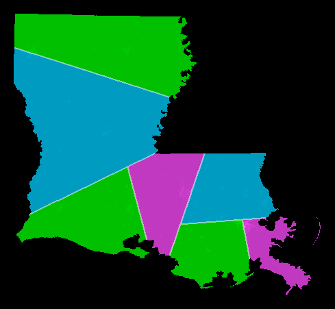 Louisiana using 2000 census data, shortest splitline algorithm